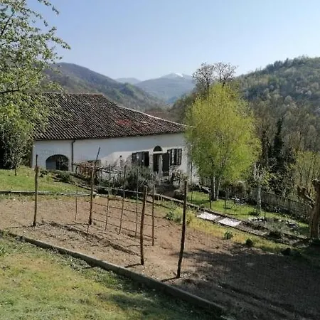 Apartment Casa Elvira Antica *